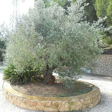 Villa Muixara *
